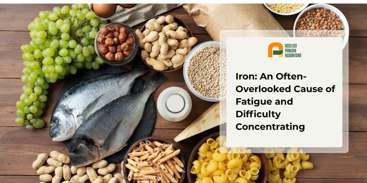 Various iron-rich foods to help maintain energy levels
