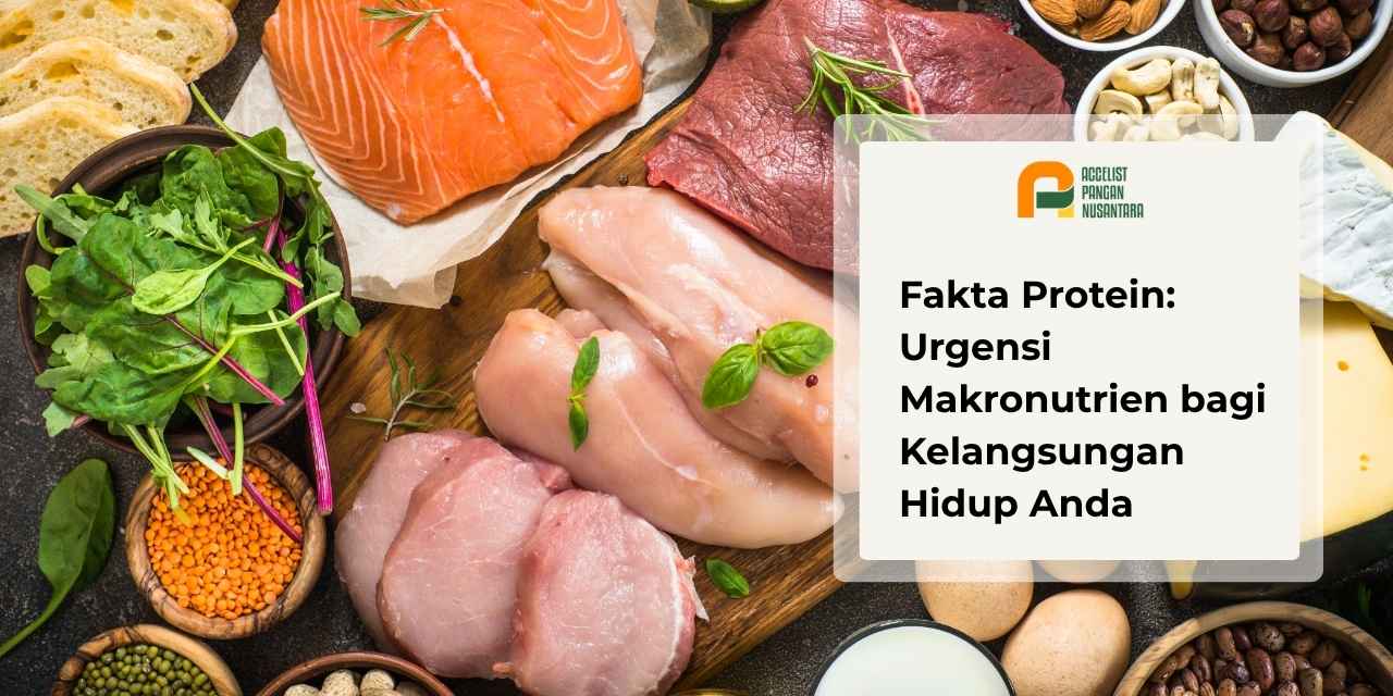 Berbagai pilihan sumber makanan yang mengandung protein hewani dan nabati untuk memenuhi kebutuhan nutrisi harian tubuh.