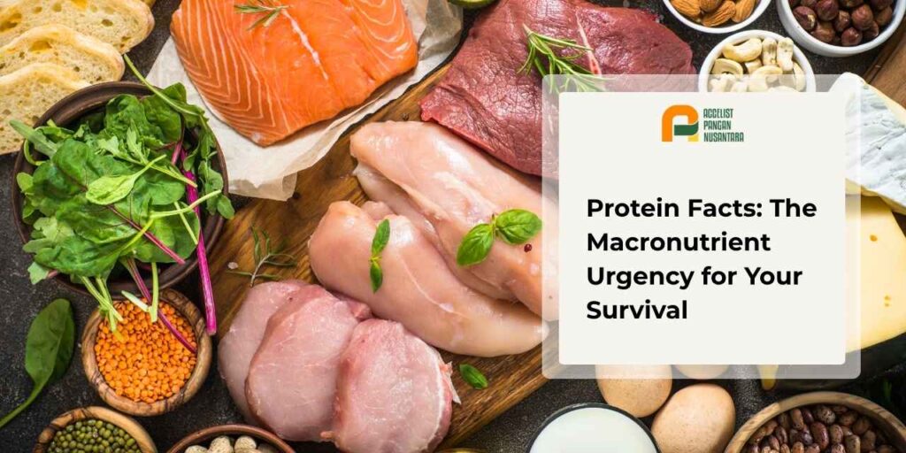 A variety of food sources containing animal and vegetable protein to meet the body's daily nutritional needs.