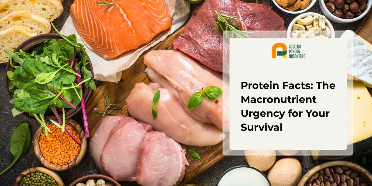 A variety of food sources containing animal and vegetable protein to meet the body's daily nutritional needs.