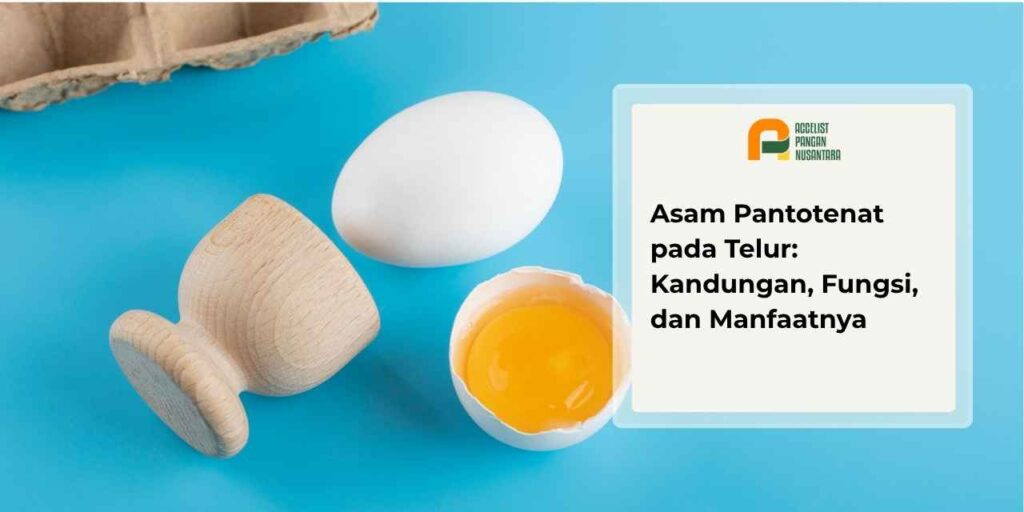 Kandungan asam pantotenat pada telur