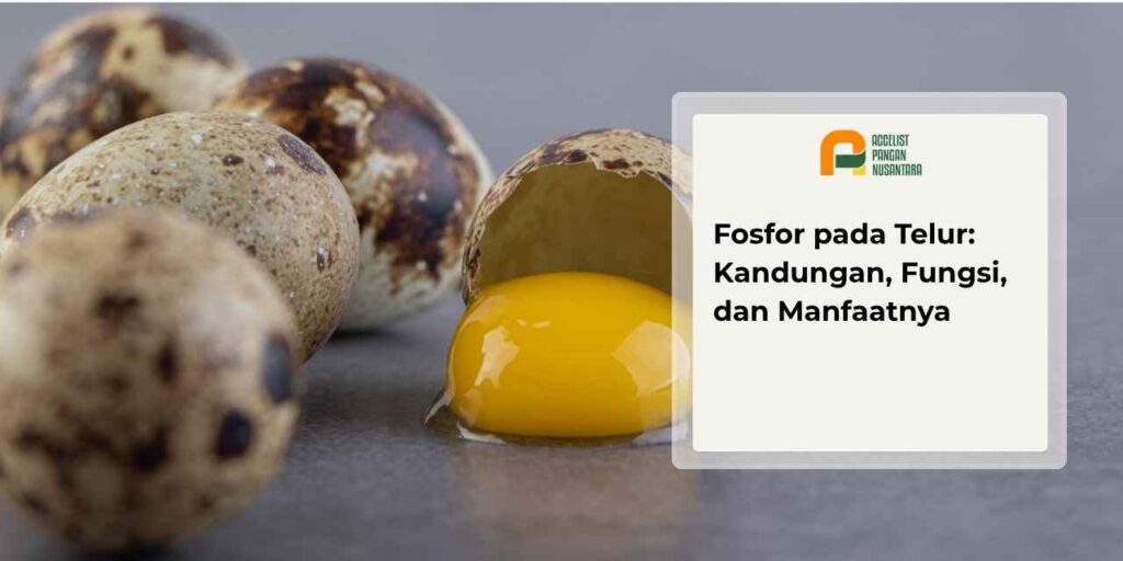 Kandungan fosfor pada telur