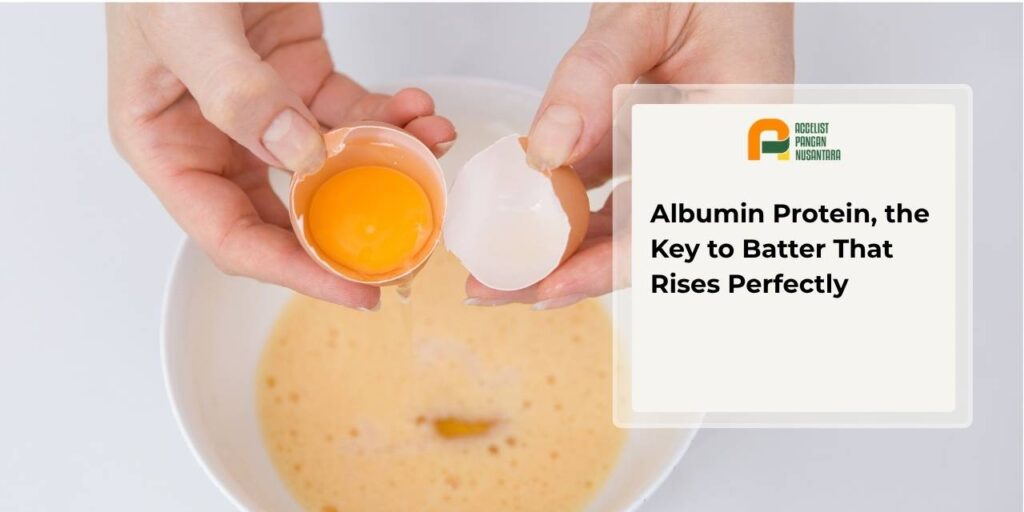 Albumin protein's function in batter rising capacity